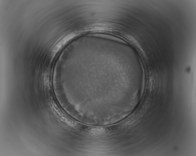 X0000116100882200912140954