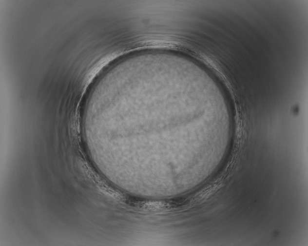 X0000116100883200912140954