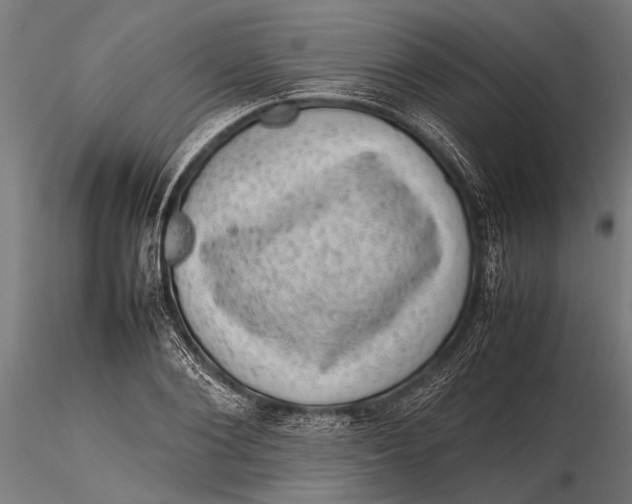 X0000116100884200912140954