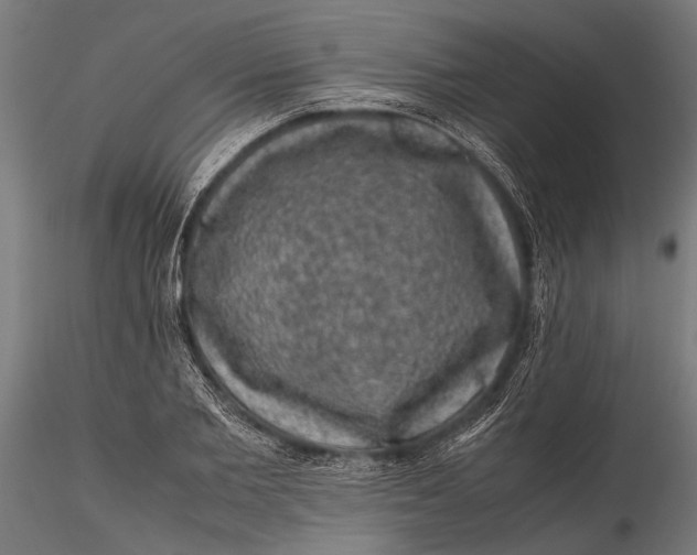 X0000116100885200912140954