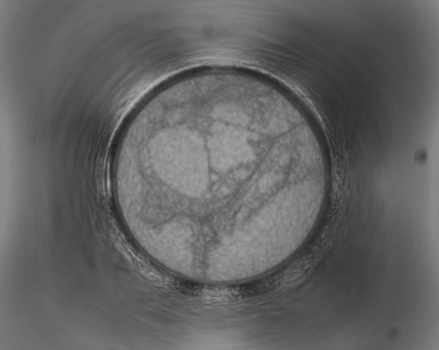 X0000116100887200912140954