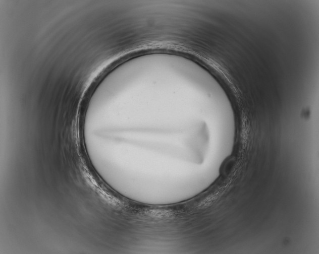 X0000116100888200912140954