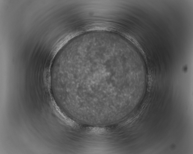 X0000116100890200912140954