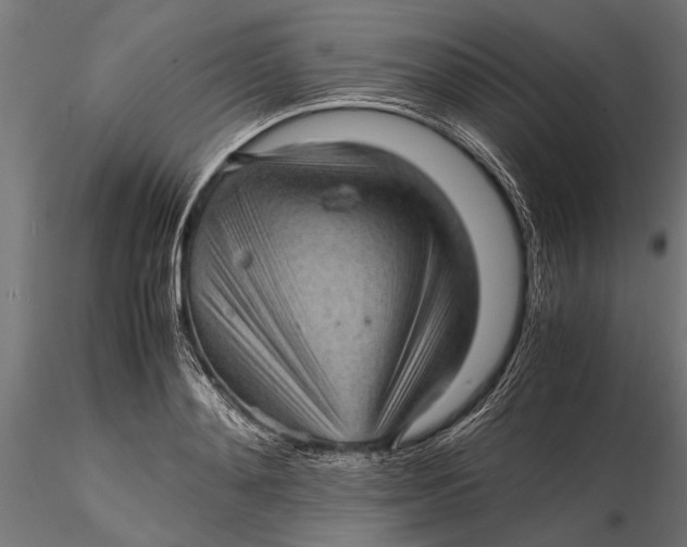 X0000116100892200912140954