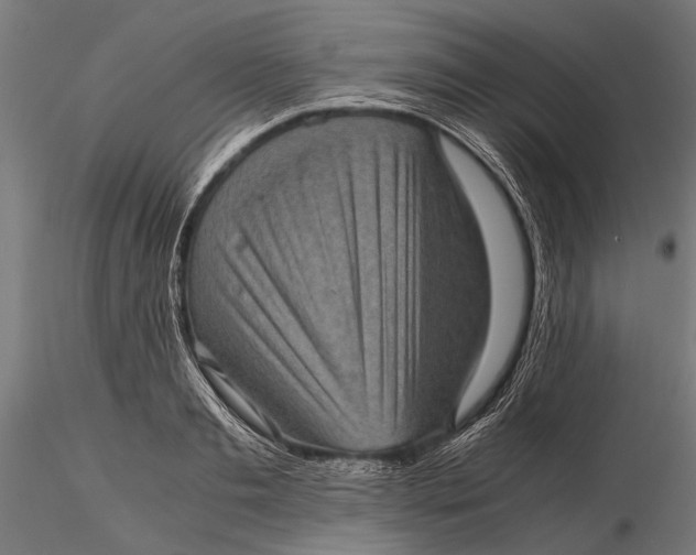 X0000116100893200912140954