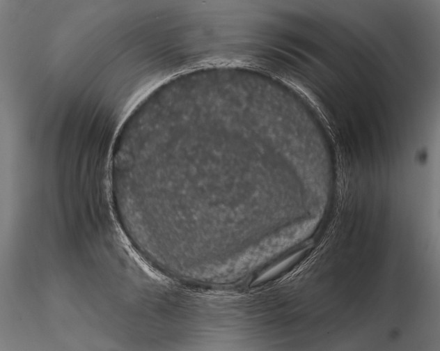 X0000116100894200912140954