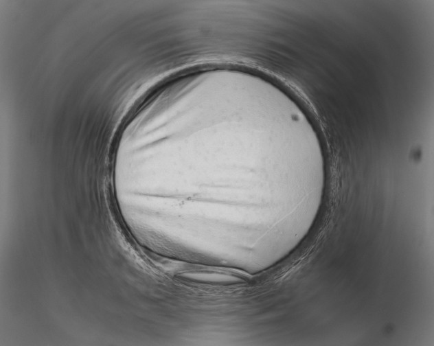 X0000116100895200912140954