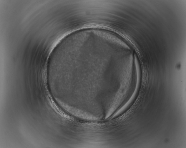 X0000116100896200912140954