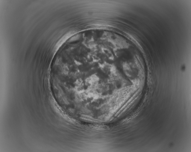 X0000116100899200912140954