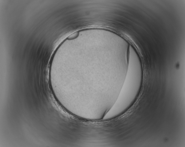 X0000116100900200912140954