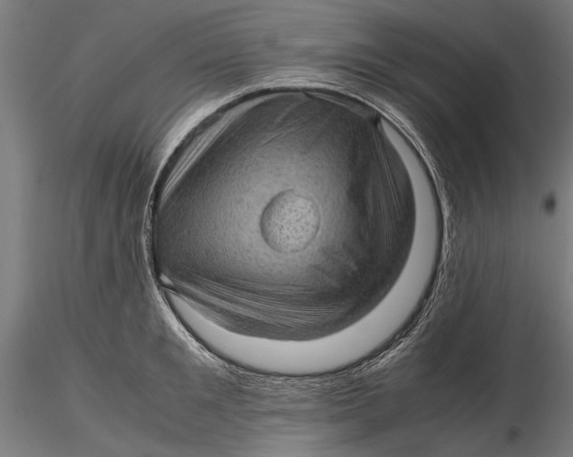 X0000116100901200912140954