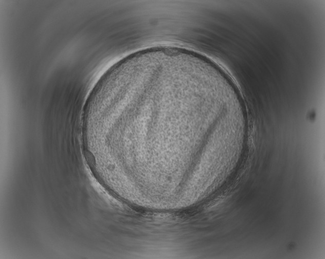 X0000116100903200912140954