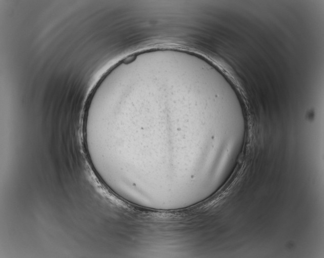 X0000116100904200912140954