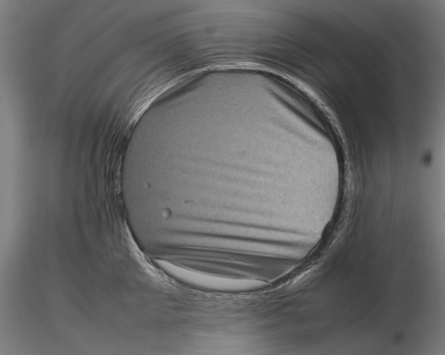 X0000116100905200912140954