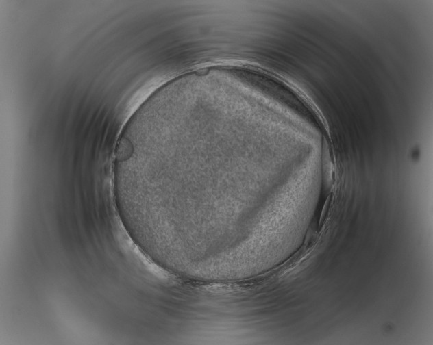 X0000116100906200912140954