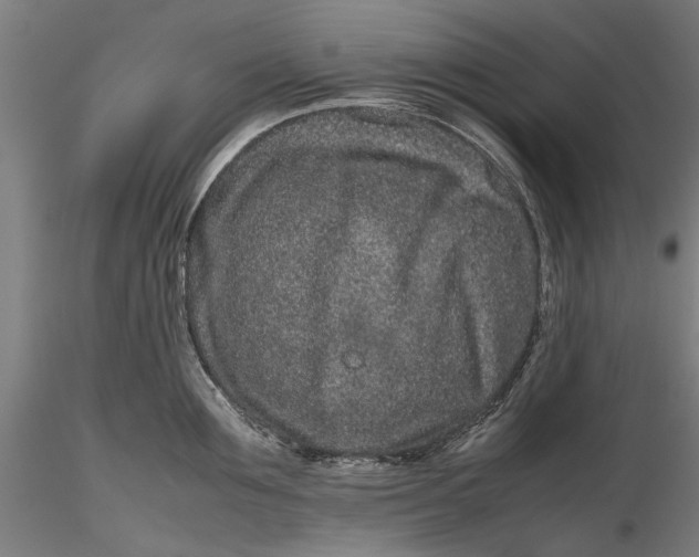 X0000116100907200912140954