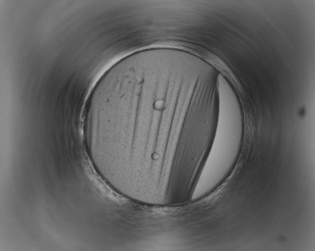 X0000116100908200912140954