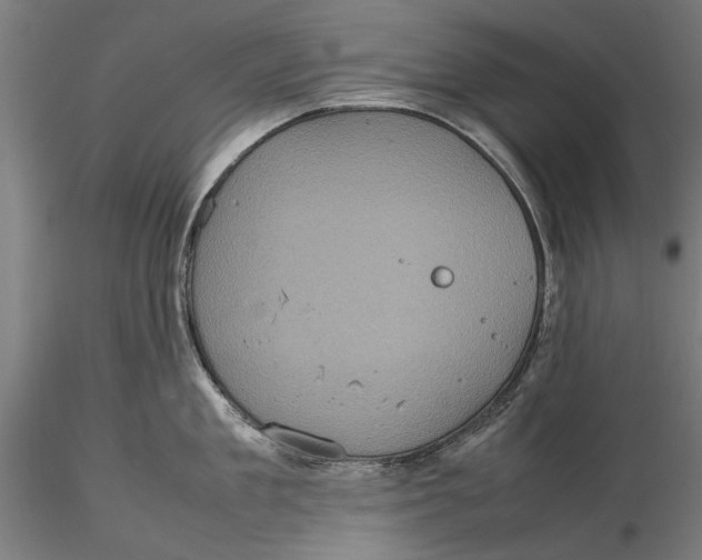 X0000116100909200912140954