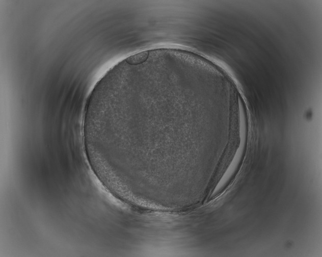 X0000116100910200912140954