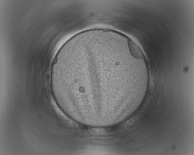 X0000116100911200912140954