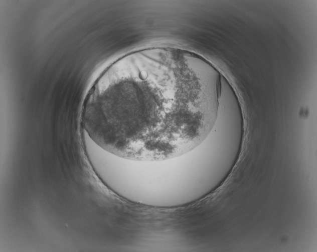 X0000116100912200912140954