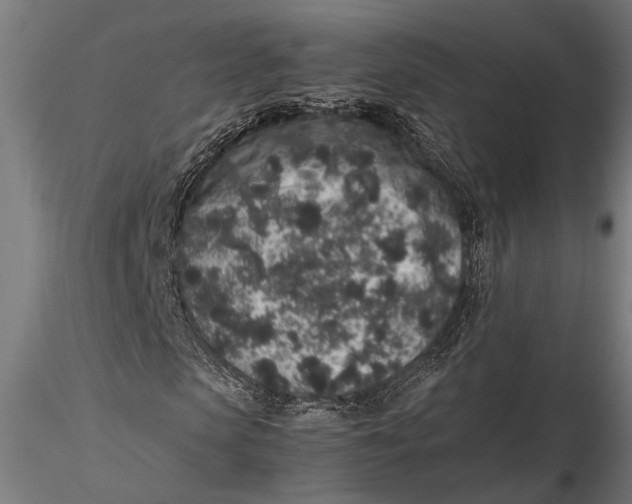 X0000116100913200912140953