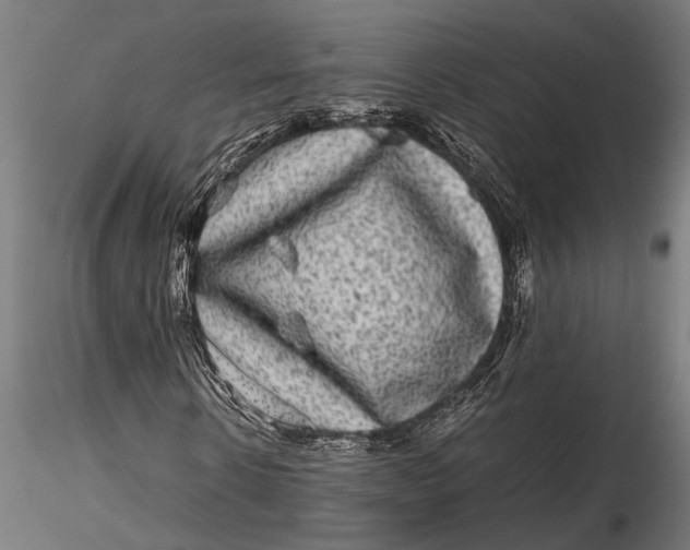 X0000116100914200912140953