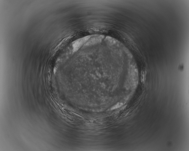 X0000116100915200912140953