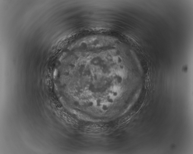 X0000116100917200912140953