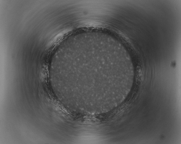 X0000116100918200912140953