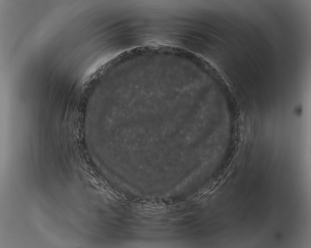 X0000116100919200912140953