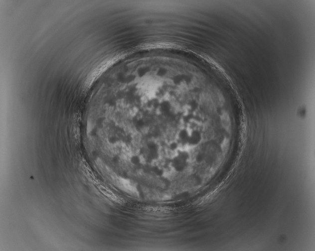 X0000116100921200912140953