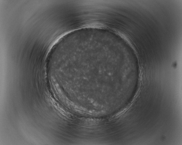 X0000116100923200912140953