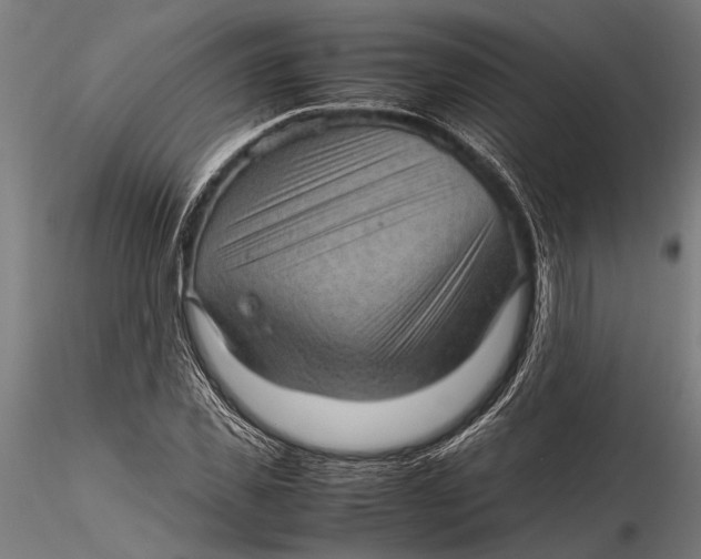 X0000116100925200912140953