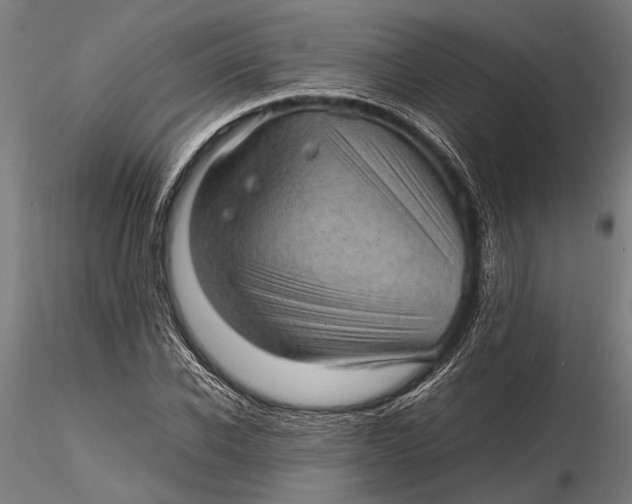 X0000116100926200912140954