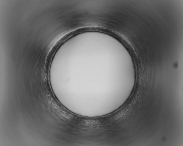 X0000116100927200912140954