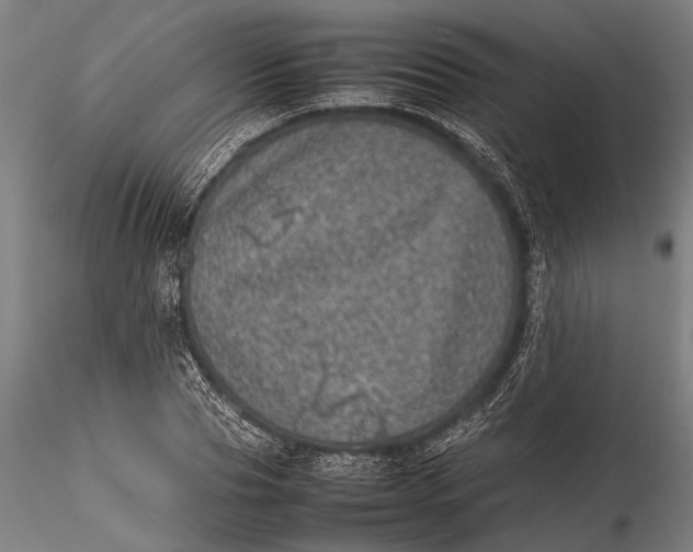 X0000116100929200912140954