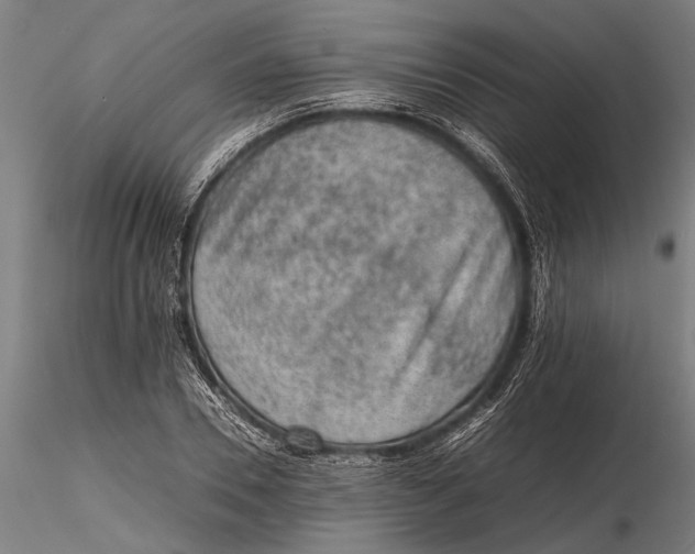 X0000116100930200912140954