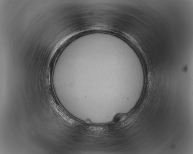 X0000116100931200912140954