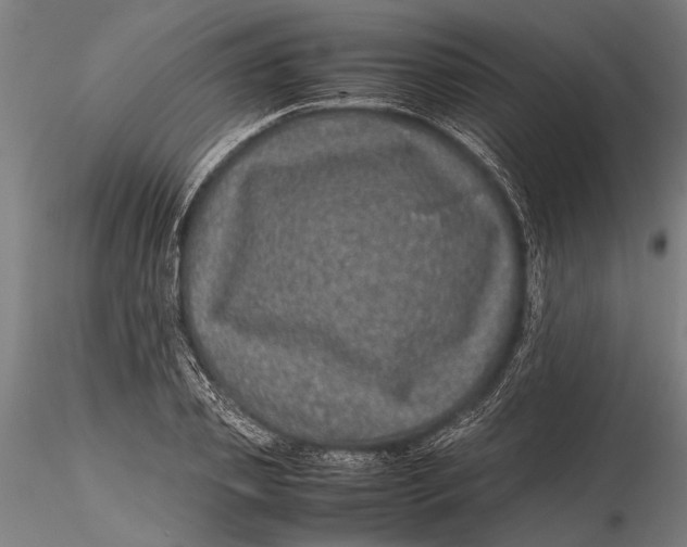 X0000116100933200912140954