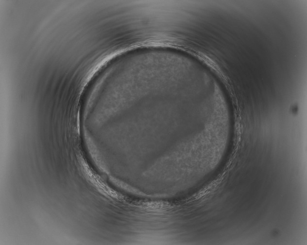 X0000116100934200912140954