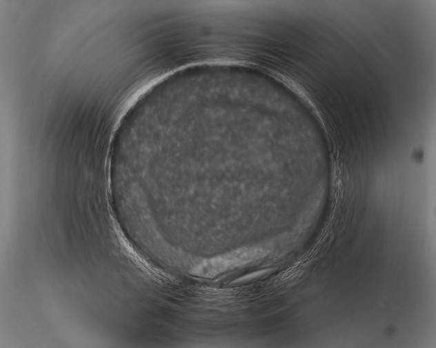 X0000116100935200912140954