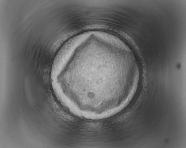 X0000116100937200912140954