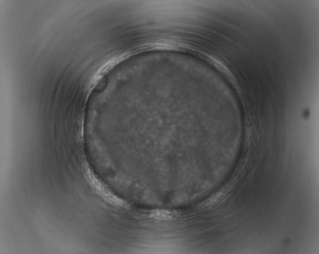 X0000116100938200912140954