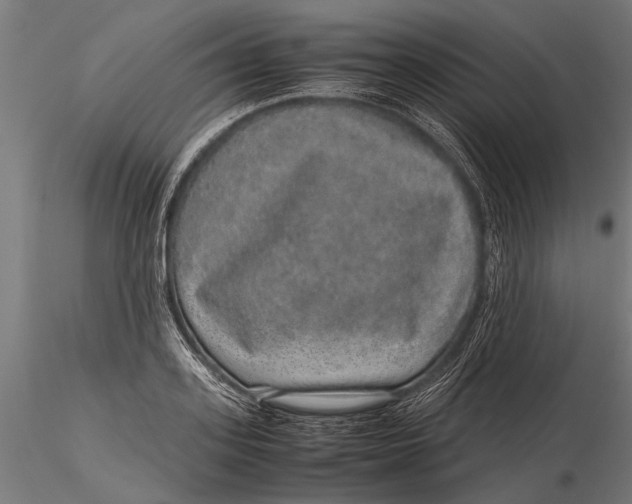 X0000116100939200912140954