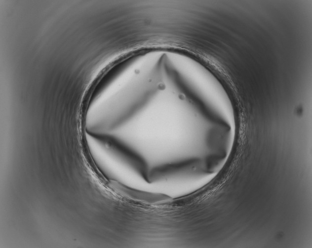 X0000116100942200912140954