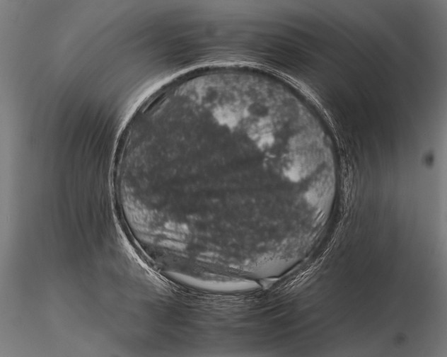 X0000116100943200912140954