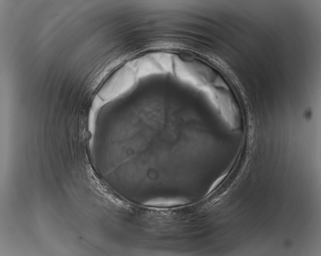 X0000116100945200912140954