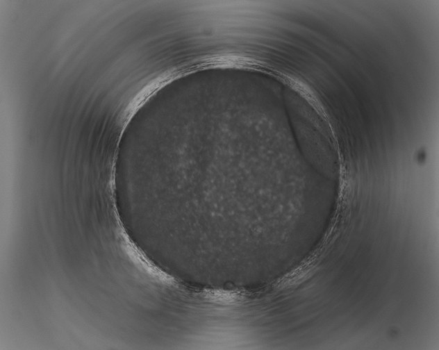 X0000116100946200912140954