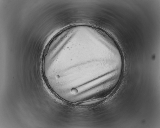 X0000116100949200912140954